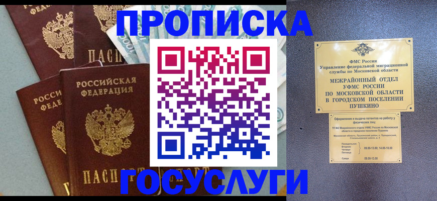 прописка гарантия в Камчатском крае